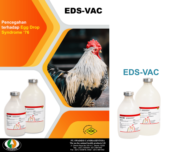 EDS-VAC