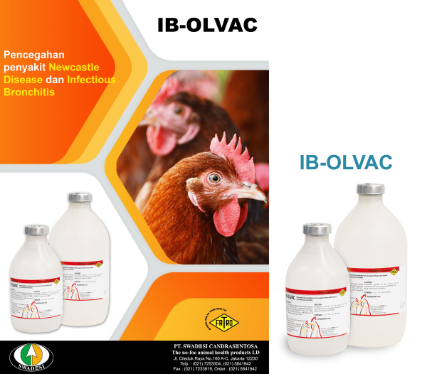 IB-OLVAC