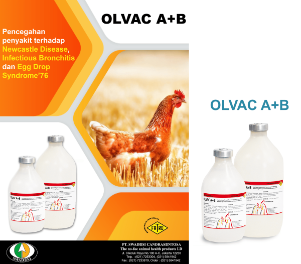 OLVAC A+B