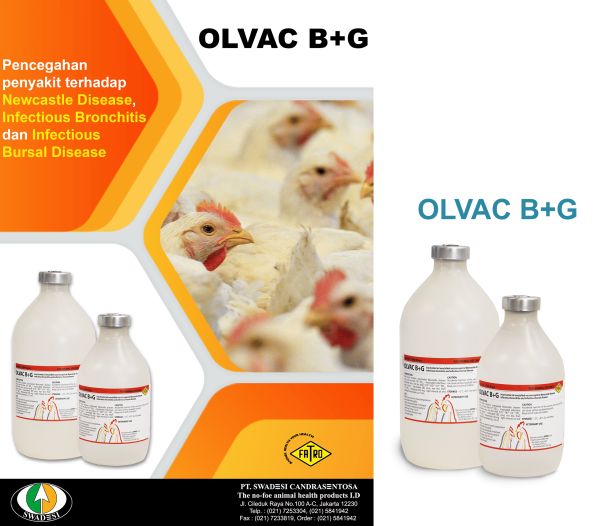 OLVAC B+G