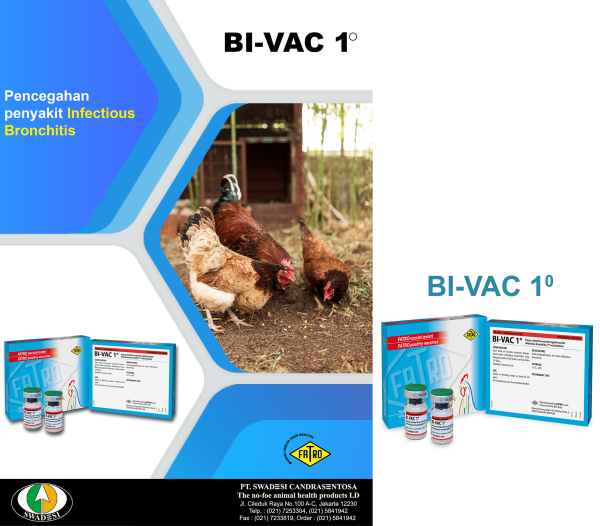 BI-VAC 1
